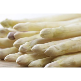 Asperges wit