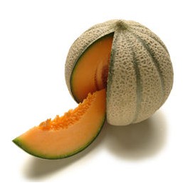 Cantaloupe meloen