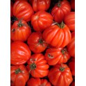 Coeur de beauf tomaat