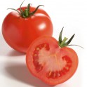 Tomaten