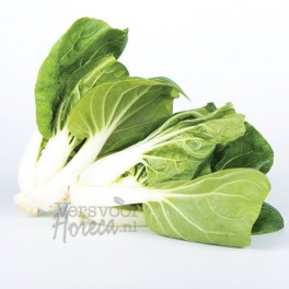 Mini paksoy