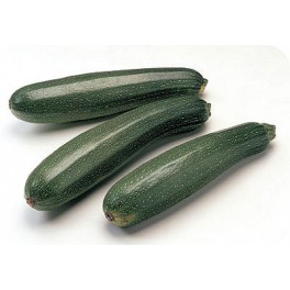 Courgette groen doos