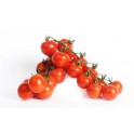Tros ceris tomaat kilo