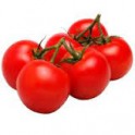 Tomaten tros