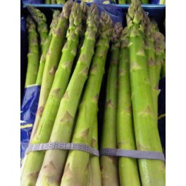 Asperge.groen 500 gr