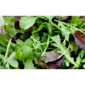 Baby leaf/Mesclun per 125 gram