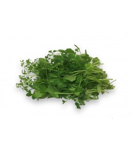 salat pea
