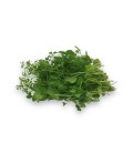 salat pea