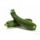 Courgette groen